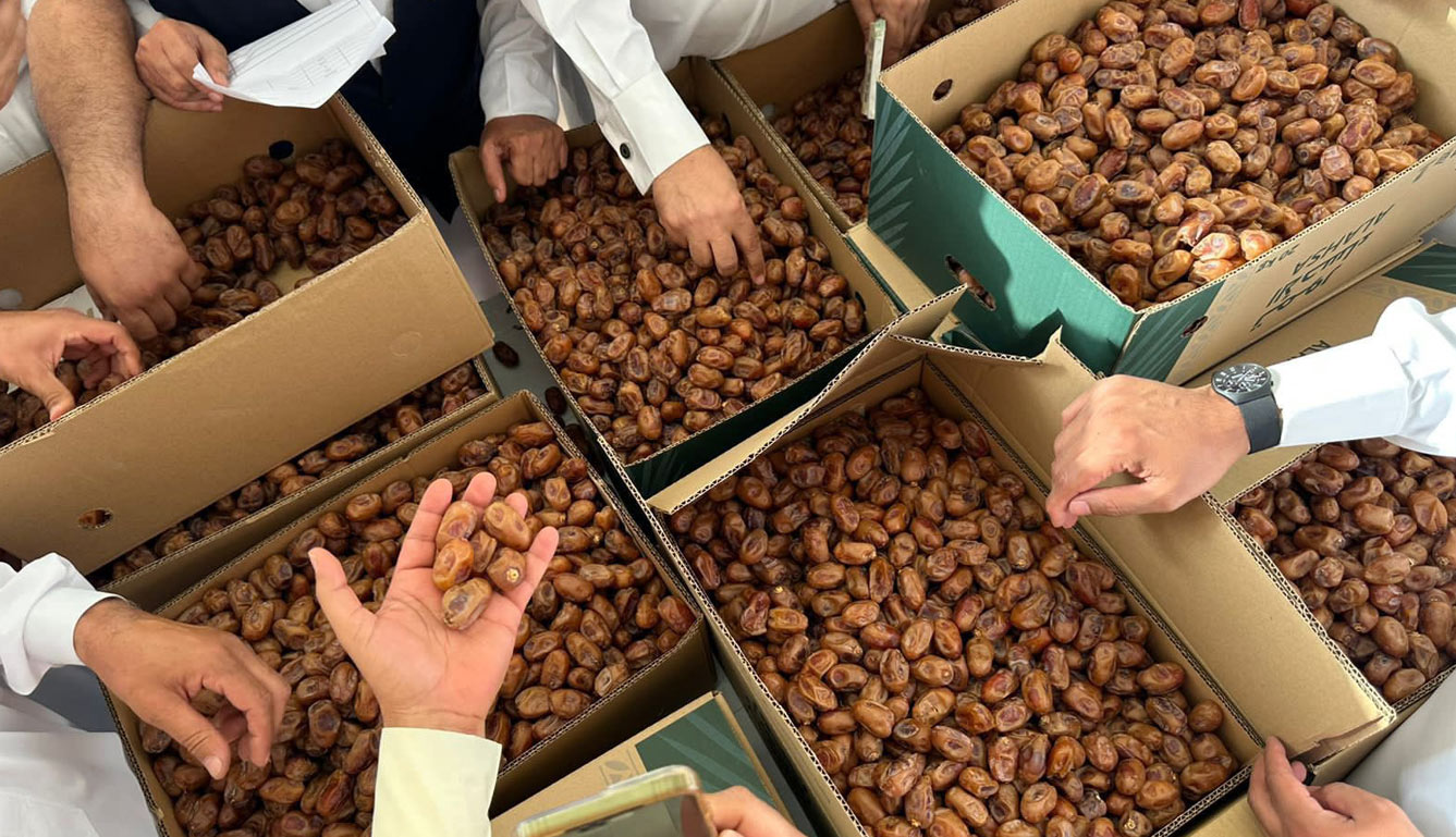 Al-Ahsa Dates Auction 2023 ends its season with a 44% increase in sales