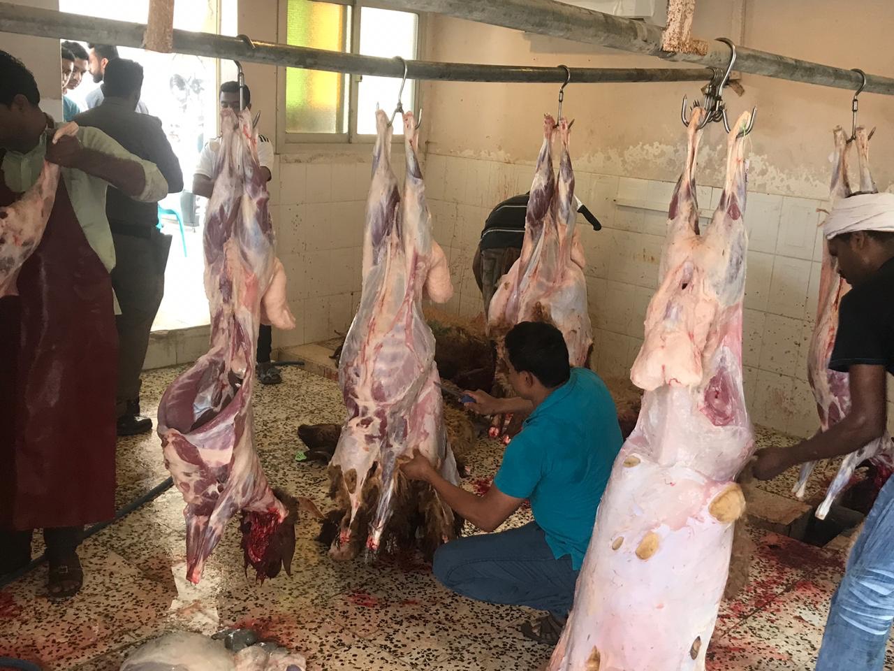 أمانة الأحساء تزيل عشوائية حظائر سوق الأنعام وتنظم سوق حراجها